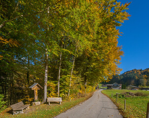 Fototapeta premium Fall Scene in Bizau in the Bregenzerwald Valley, State of Vorarlberg, Austria