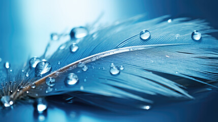 water drops on a leaf