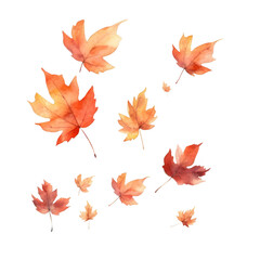 Obraz premium Watercolor Painting of Falling Autumn Maple Leaves on Black Background