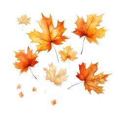 Obraz premium Falling Autumn Maple Leaves: A Watercolor Collection