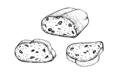 Set of vector illustrations of sliced raisin bread with detailed texture for bakery design, recipe book, food packaging or breakfast themed projects. Traditional Christmas stollen cake, new year cake