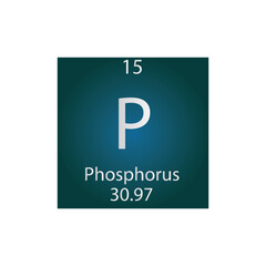 P Phosphorus Non reactive metal Chemical Element Periodic Table. Simple flat square vector illustration, simple clean style Icon with molar mass and atomic number for Lab, science or chemistry class.