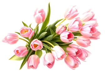 Vintage Style Photography of a Delicate Bouquet of Spring Pink Tulips Flowers Isolated on a White Background, Captured in Close-Up with Airy Composition and Top View Flat Lay
