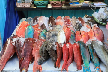 Colorful tropical fishes at a stand in Indonesia