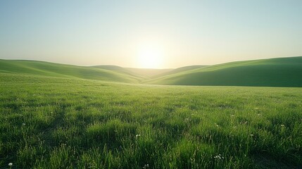 Obraz premium Serene Sunrise Over Rolling Green Hills: A Breathtaking Countryside Landscape