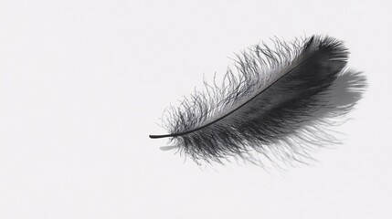 Fototapeta premium Soft shadow of a feather on a light background