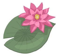 Abstract water lily plant. Lotus flower with leaf in cartoon style. Botanical clip art isolated on white. Single vector illustration.
