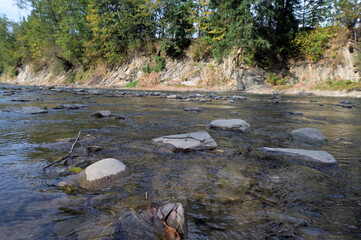 The mountain river. Landscape with forest, river and stones.