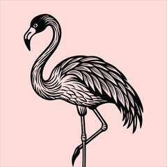 Illustration of a Flamingo bird