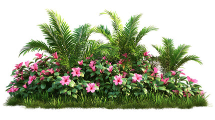 Fototapeta premium Lush green tropical plant with pink flowers, isolated shrub with clipping path, nature border