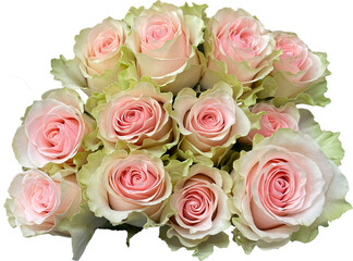 bouquet of beautiful pink  roses cut-out png