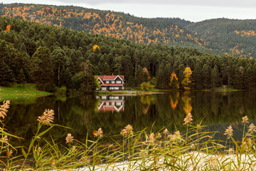 Bolu Golcuk Nature Park is an area frequently used by local and foreign people due to its proximity to the city center and natural areas that allow people to have a good time.