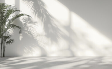  white room with a palm tree and strong sunlight shadows