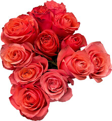 bouquet of pink roses cut-out png