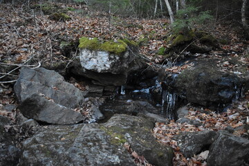 Sentier Père Buteux 15 Novembre 2024