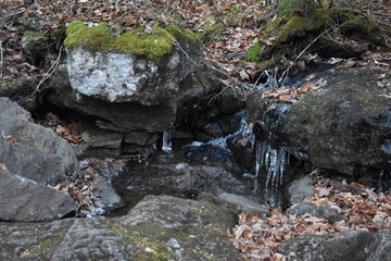 Sentier Père Buteux 15 Novembre 2024