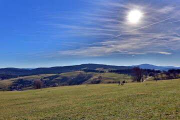 Herbstlandschaft auf dem Schauinsland bei Freiburg