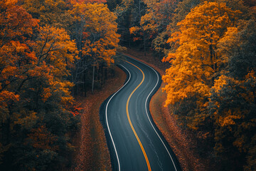 Naklejka premium Autumn Road Through Colorful Forest
