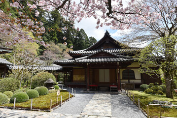 Fototapeta premium 寂光院 書院 京都市左京区大原