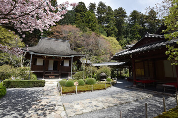 Fototapeta premium 寂光院 本堂 京都市左京区大原