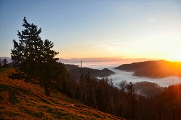 Obraz premium Beautiful sunset on the hill Schnebelhorn with a large sea of ​​fog. Small hill as an island in the fog. Autumn mood in the Zurich Oberland. High quality photo