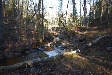 Sentier Père Buteux 15 Novembre 2024