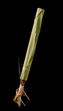 Bidi or Beedi, A beedi is a thin cigarette or mini-cigar filled with tobacco flake and commonly wrapped in a tendu or Piliostigma racemosum leaf tied with a string or adhesive, bidi isolated isolate
