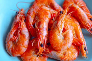 Cooked shrimps with shells and heads still intact, arranged on a light blue plate. The shrimp have a bright orange color, indicating they have been cooked, and their antennae and legs are visible