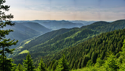Fototapeta premium Vue panoramique sur la vallée verdoyante