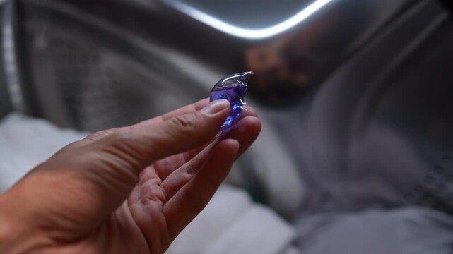 Man preparing to start laundry cycle with blue and purple laundry detergent pod by open washing machine. Male putting liquid capsule with laundry detergent in washing machine tank filled with clothes.