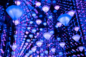Glowing purple and blue decorative lights in a symmetrical arrangement creating a dreamy atmosphere
