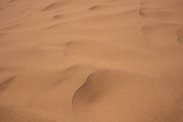 sand dunes, close-up. the texture of the desert