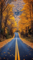 Naklejka premium The autumn season offers a wonderful landscape, where the forest is scattered around, shimmering with all shades of yellow and orange. In the middle of this forest stretches a road leading up,