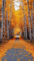 Obraz premium The autumn season offers a wonderful landscape, where the forest is scattered around, shimmering with all shades of yellow and orange. In the middle of this forest stretches a road leading up,