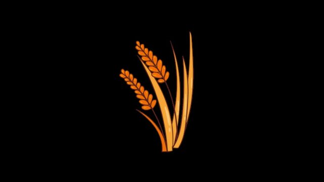 ears of wheat vibes motion graphics clip template with colorful lights animation. HD resolution with hyper realistic 4K black Background.