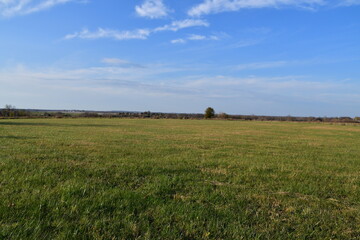 Field