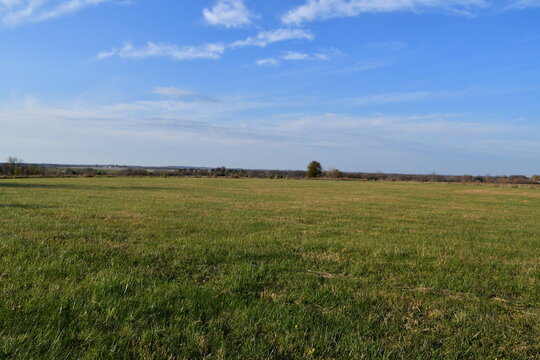 Field