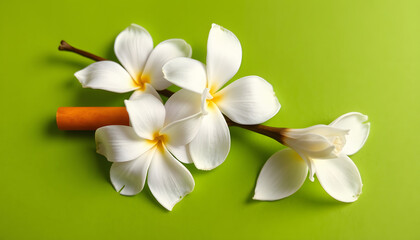 Disposable electronic cigarette and vanilla flower on green background isolated with white highlights, png
