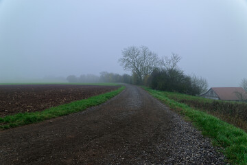 Fog outside the city on a cloudy autumn day in Bavaria.