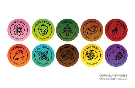 Cannabis Terpene Flavor Circle Icons