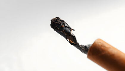 Brown cigar burned on white background isolated with white highlights, png