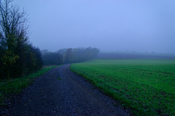 Fog outside the city on a cloudy autumn day in Bavaria.