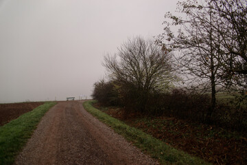 Fog outside the city on a cloudy autumn day in Bavaria.