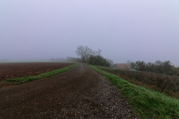 Naklejka premium Fog outside the city on a cloudy autumn day in Bavaria.