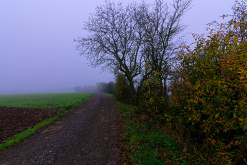 Fog outside the city on a cloudy autumn day in Bavaria.