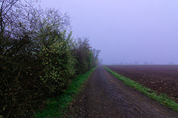 Fog outside the city on a cloudy autumn day in Bavaria.
