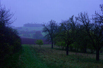 Fog outside the city on a cloudy autumn day in Bavaria.