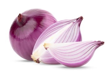 purple onion isolated on transparent png