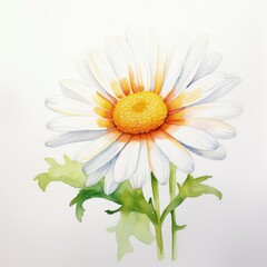 Naklejka premium Dynamic watercolor daisies showcase vivid colors and artistic flair, ideal for creative projects and floral designs. Perfect for adding a touch of elegance and natures beauty to visual content.