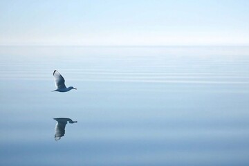 Serene Bird in Flight Over Tranquil Waters at Dusk